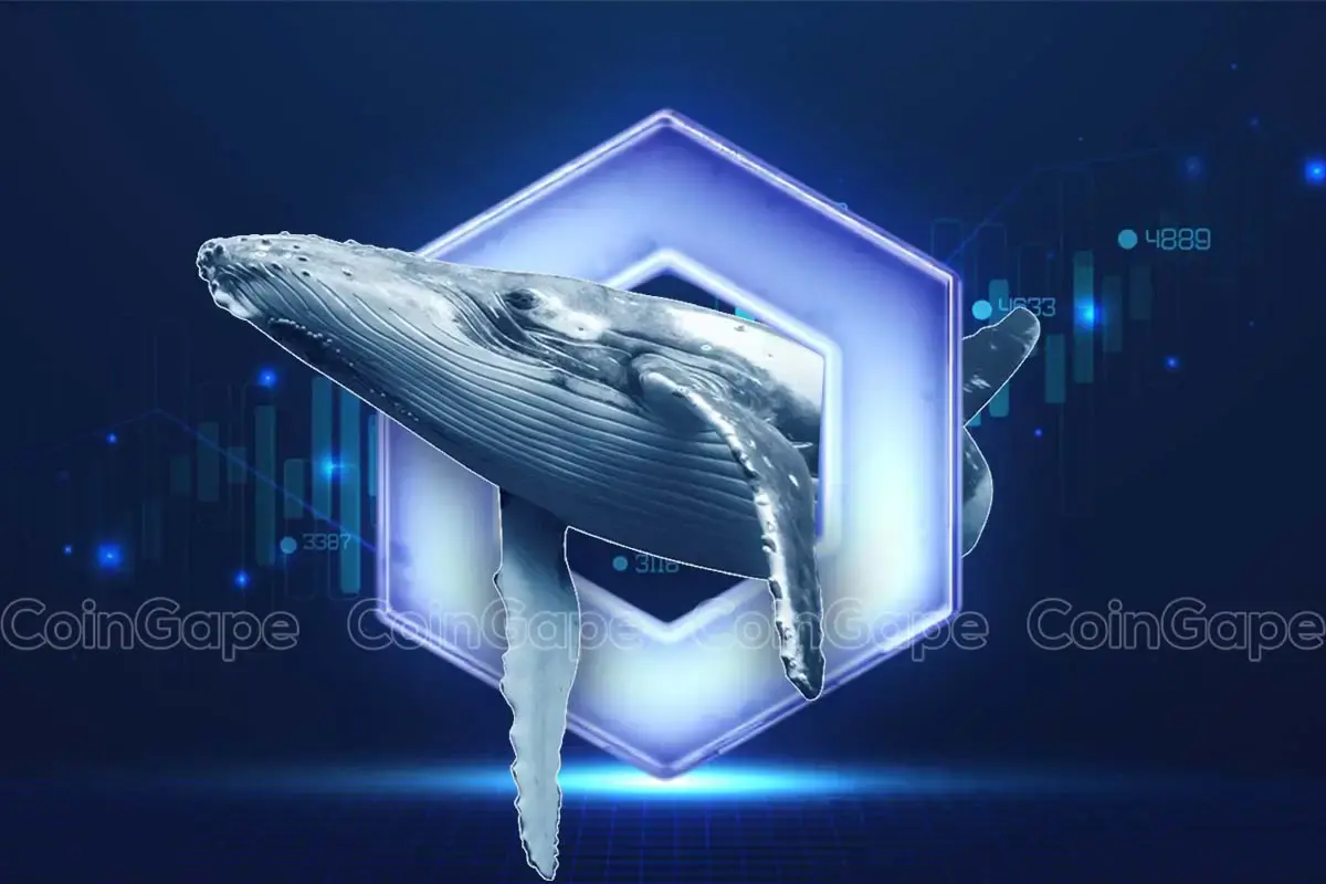 Chainlink Whales Bag $36M Coins Hinting At LINK Price Breakout Ahead