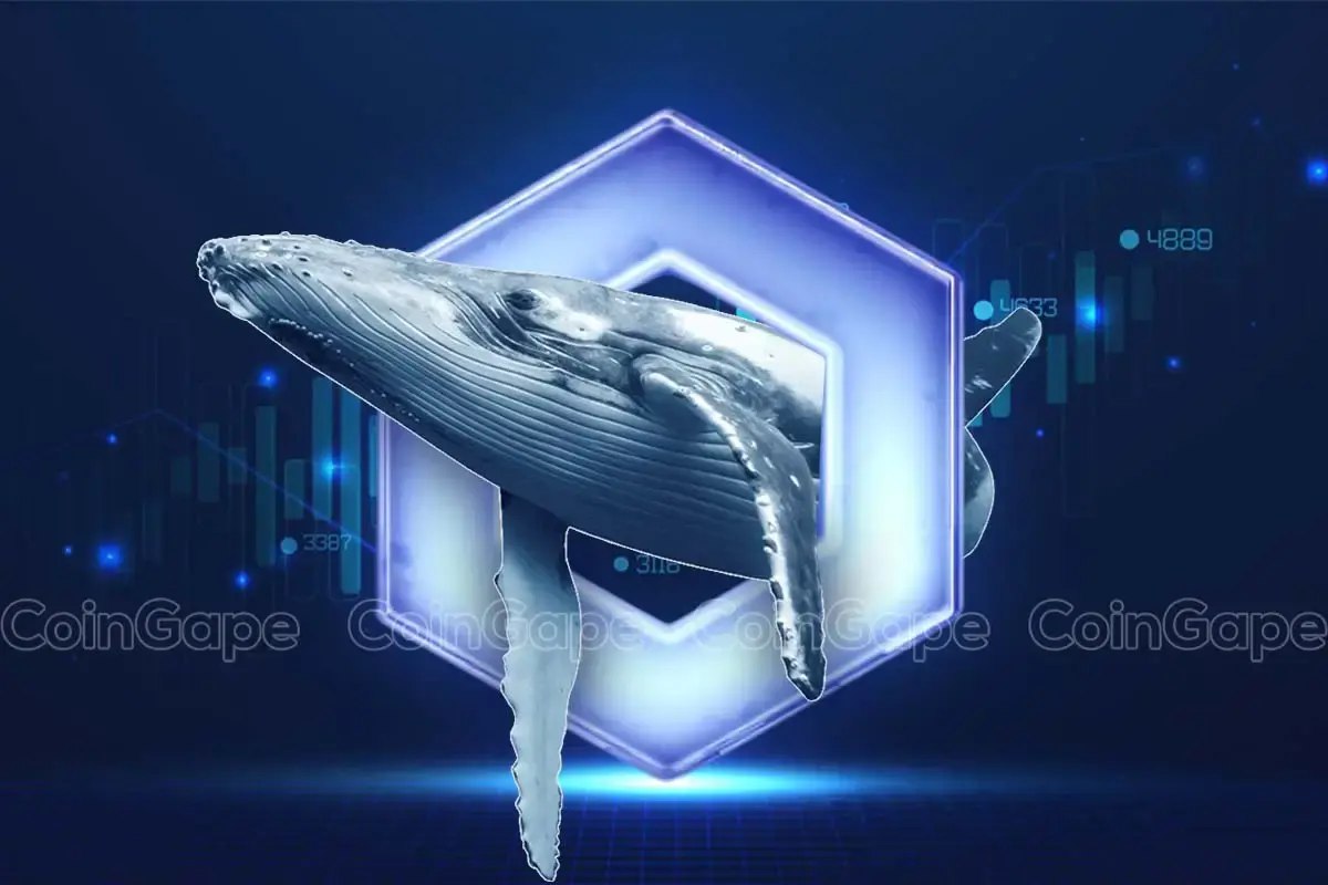 Whales Move 38.64 Million LINK In 24 Hours, Will Chainlink Price Rally?