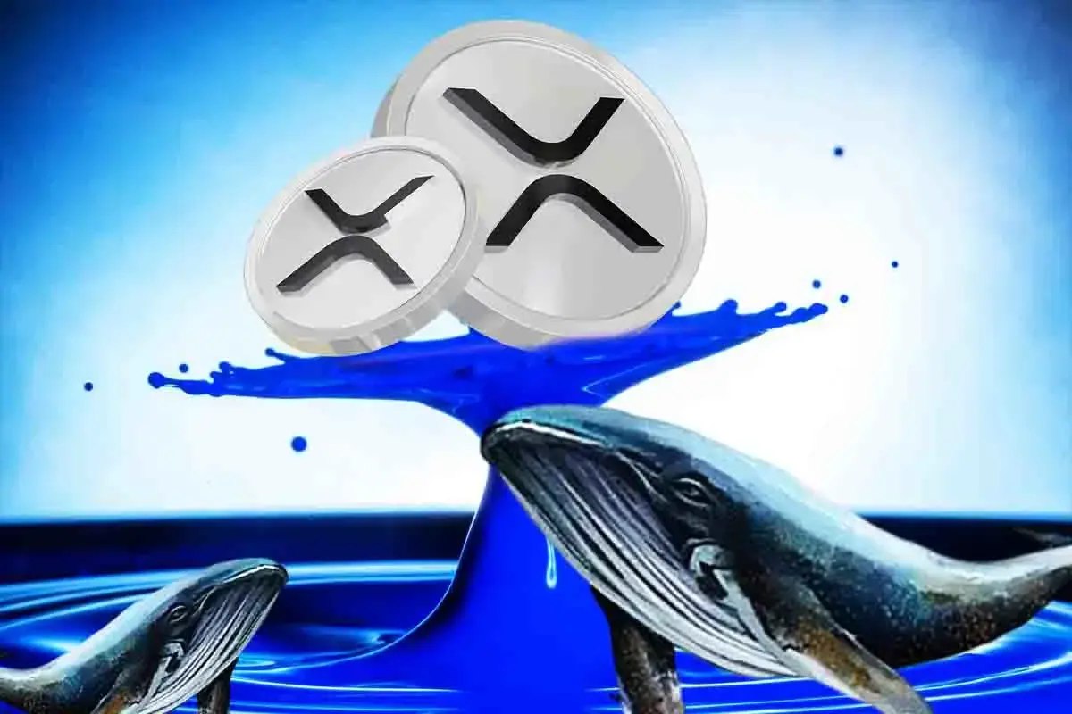 XRP News: Whale Accumulation Skyrockets, Is A XRP Price Rally Ahead?